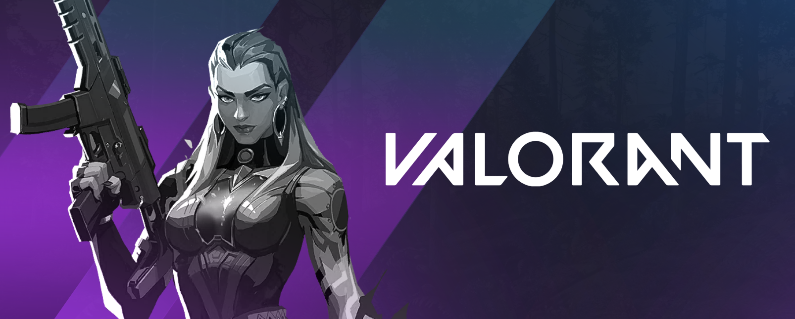 Valorant Hacks ESP Aimbot Wallhack